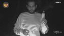 Il furto dello spray antizanzara