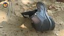 Un formicaio nella scarpa di Alvina