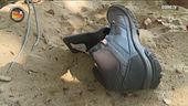 Un formicaio nella scarpa di Alvina
