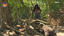 Un'escursione nel bosco