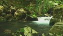L'importanza dell'acqua