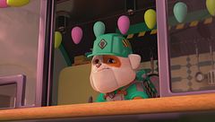 Squadra costruisce una casa per il castoro / Squadra ripara una strada