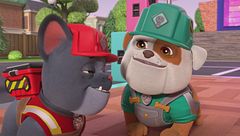 La squadra costruisce una biblioteca con sala da tè / La squadra costruisce una pista da ballo