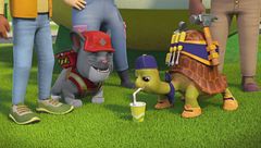 La squadra costruisce un chiosco di limonata / La squadra costruisce un ponte nel bosco