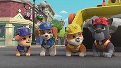 La squadra costruisce un percorso sull'albero / La squadra costruisce una mangiatoia