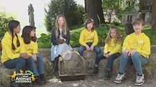 Puntata del 5 maggio