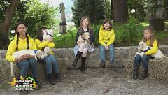 Puntata del 9 giugno