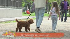 Com'è crescere con un animale?