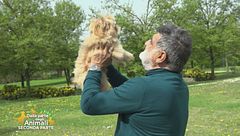 Lola, la principessa di: Roberto da Crema