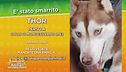 Ritroviamo Thor