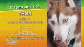 Ritroviamo Thor