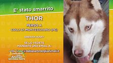 Ritroviamo Thor