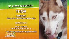 Ritroviamo Thor