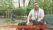 Di cosa è goloso il tuo pet?