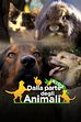 Di cosa è goloso il tuo pet?