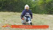 Volontari per amore