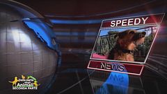 Speedy news