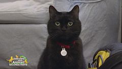 Angelino, Rita e Bruno, gli amici di Maria Grazia Cucinotta