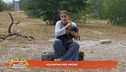 Volontari per amore
