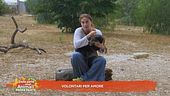 Volontari per amore