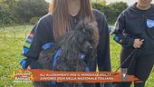 Gli allenamenti per il mondiale agility