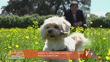 Dado, il migliore amico di: Paolo Conticini