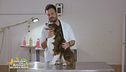 I consigli del veterinario