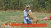 Volontari per amore