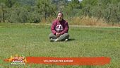 Volontari per amore