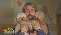 Bella e Baby Boss, gli adorabili amici di: Massimiliano Rosolino