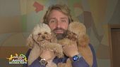 Bella e Baby Boss, gli adorabili amici di: Massimiliano Rosolino