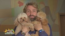 Bella e Baby Boss, gli adorabili amici di: Massimiliano Rosolino
