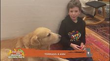 Perchè i cani quando arriviamo ti leccan tutto?