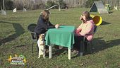 Impariamo divertendoci