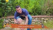 Bimba, la pecora salvata