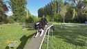 Gli allenamenti agility dog