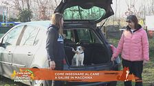 Impariamo divertendoci