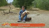 Volontari per amore