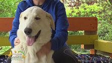 Mosè, un gigante buono