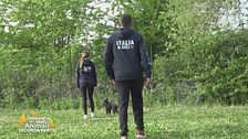 Gli allenamenti per il mondiale Agility juniores 2024