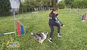 Gli allenamenti per il mondiale agility