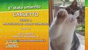 Ritroviamo Carletto!