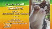 Ritroviamo Carletto!