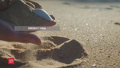 Ventiquattresima puntata