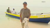 Joe torna sulla Playa