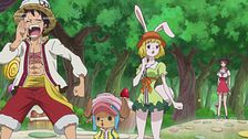Ep. 12 - La foresta dei dolciumi: Luffy contro Luffy