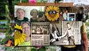 Liliana Resinovich e il giallo delle foto cancellate