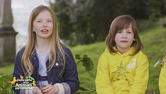 Puntata del 1 settembre