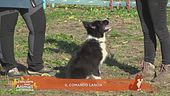 Il comando lascia