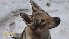 Era, una super eroina